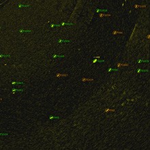 Track, Fuse & Distribute